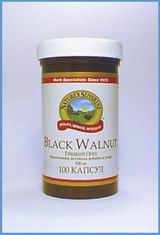 Black Walnut /   ( )